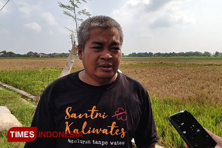 Komisi B DPRD Lamongan Prihatin Petani Gagal Panen Padi Di Musim Tanam ...