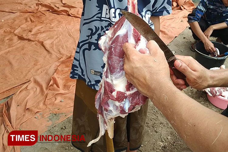 Ilustrasi kegiatan pemotongan hewan kurban di Kabupaten Kediri (foto: Yobby/TIMES Indonesia) 