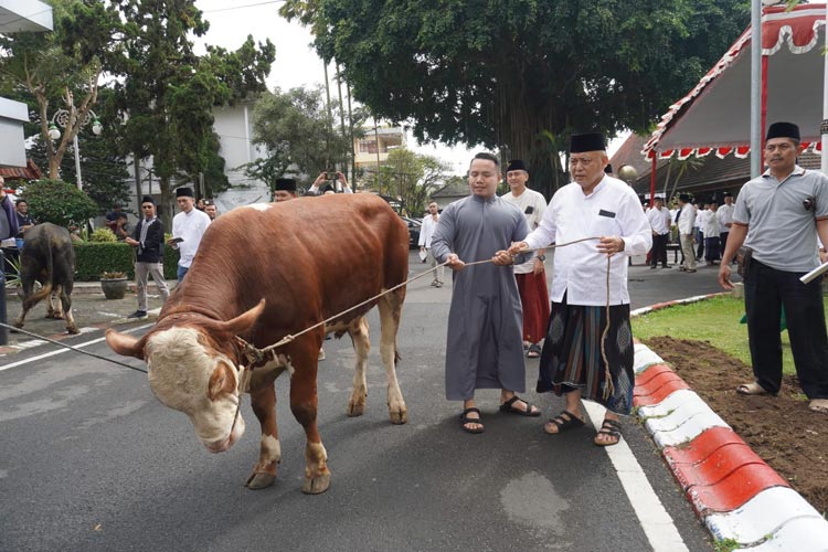 Hari Raya Idul Adha, Pemkab Malang Salurkan 50 Hewan Kurban 