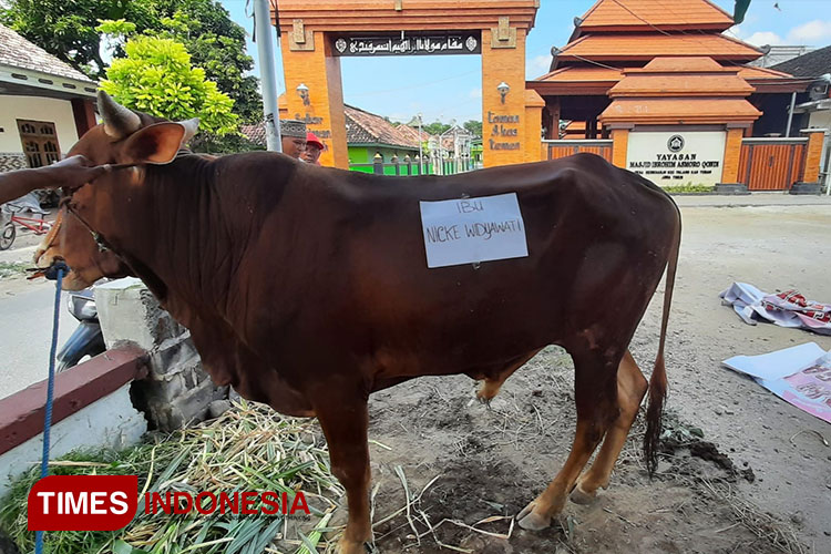 FSPPB Salurkan Empat Sapi dan Delapan Kambing di Tuban
