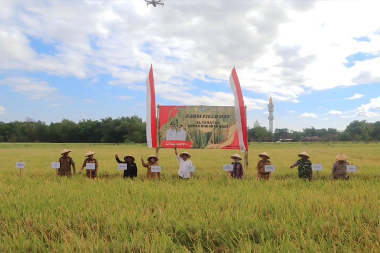 Farm Field Day (FFD) Sekolah Lapang (SL) Genta organik di Desa Mojorejo Kecamatan Jetis Kabupaten Ponorogo, Selasa (27/6/2023). (FOTO: Polbangtan Malang for TIMES Indonesia)