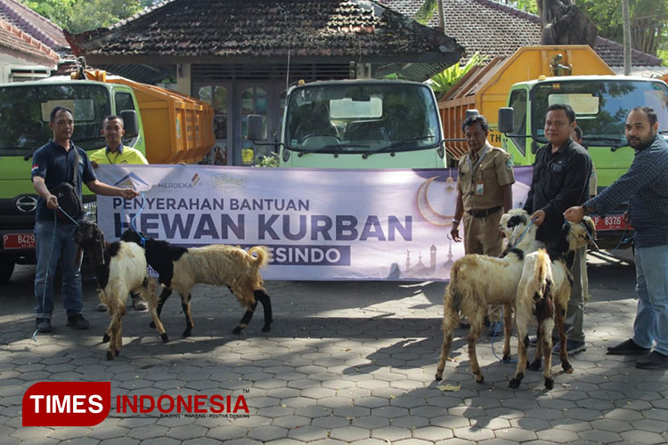 Tambang Emas PT BSI Salurkan Puluhan Hewan Kurban Untuk Warga Sekitar