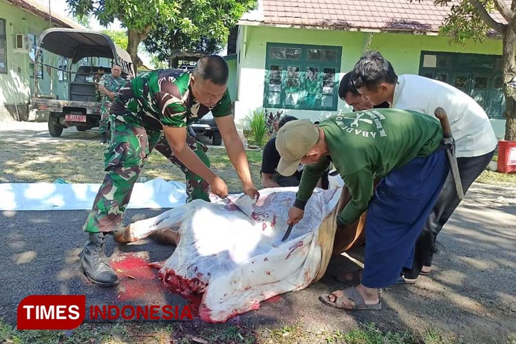 Idul Adha 1444 H, Kodim 0617 Majalengka Sembelih 9 Hewan Kurban