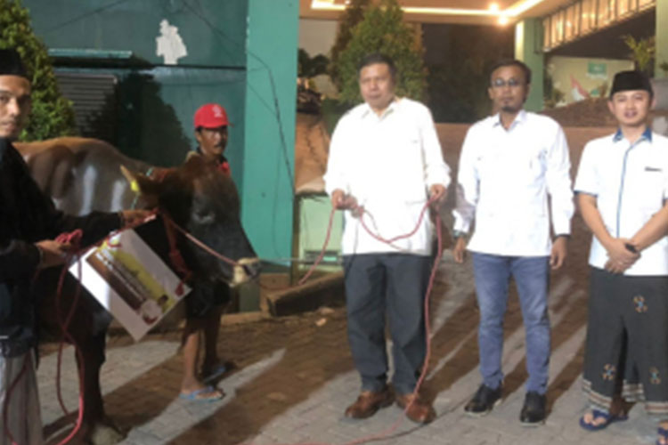 Gerindra Jatim menyerahkan sapi kurban ke PWNU Jatim, Rabu (28/6/2023) malam.(Dok.Gerindra Jatim) 