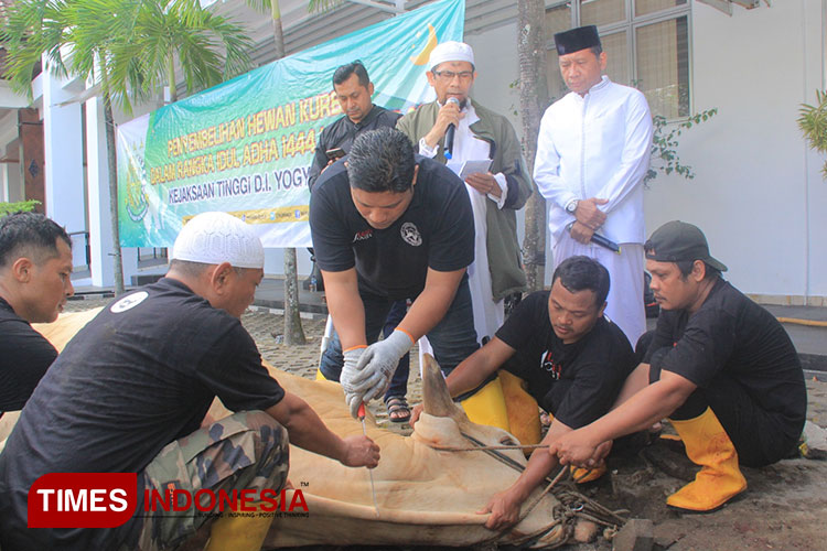 Idul Adha 1444 H, Kejati DIY Potong 23 Ekor Sapi Kurban
