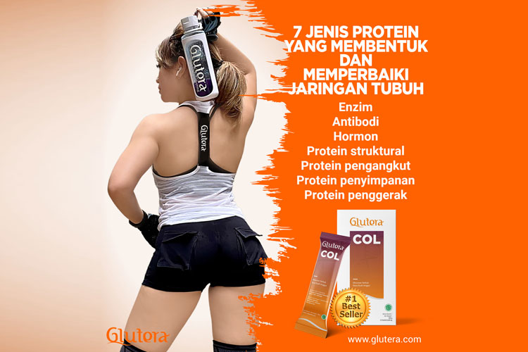 7 Jenis Protein yang Membentuk dan Memperbaiki Jaringan Tubuh