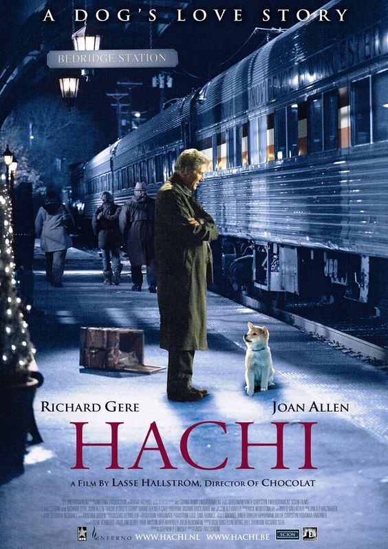 Hachi.jpg