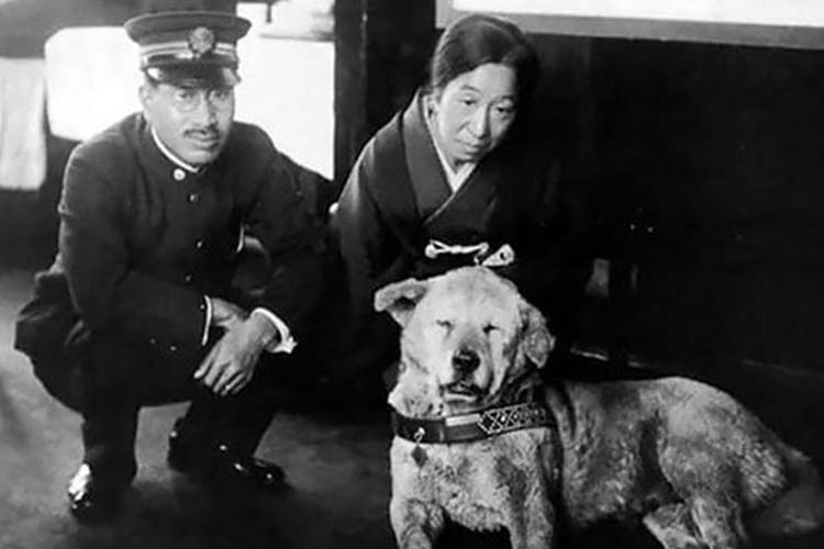 Hachiko.jpg