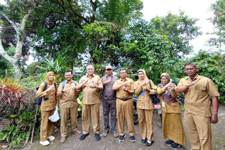 Primadona yang Hampir Terlupakan: Langsep Singosari