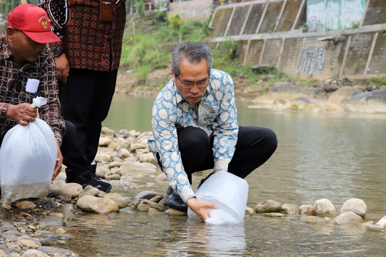 Populasi Ikan Lokal Hampir Punah, Bupati Bantul Tebar 32 Ribu Ikan di Sungai Oya