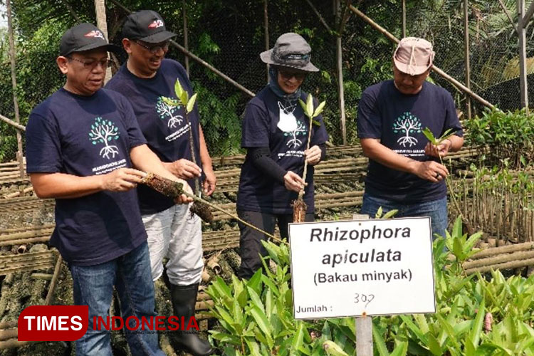 Pelestarian Ekosistem Mangrove Memerlukan Dukungan Semua Pihak