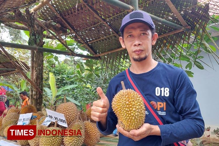 Berkenalan Dengan Durian Unggul Khas Lokal Songgon, Cocok Untuk Pecinta ...