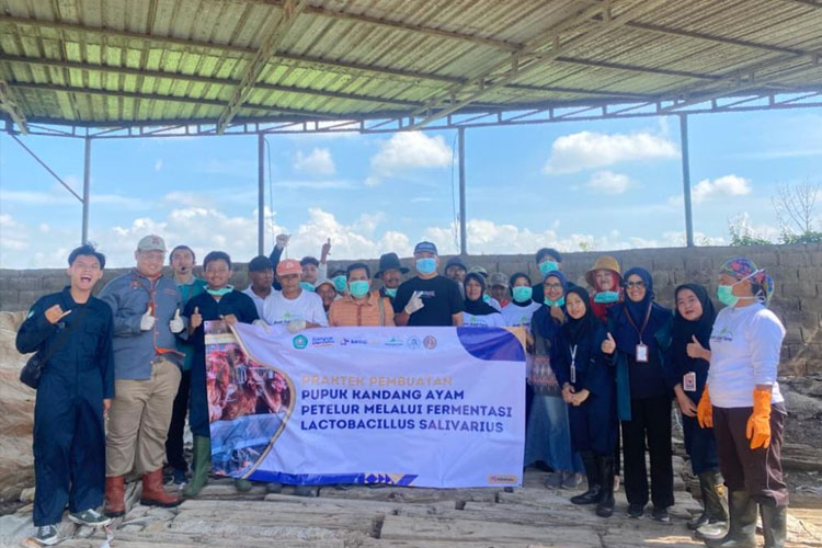 Tim Dosen Unisma Malang Bersama P4S Taruna Bhumi Praktik Pembuatan Inovasi Pupuk Salivarius