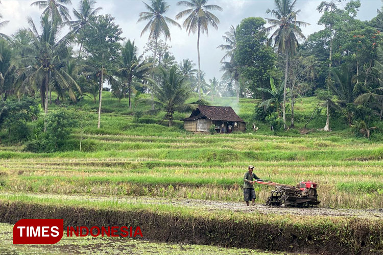 DPRD Banyuwangi Minta Eksekutif Segera Ambil Langkah Cepat Terkait Keluhan Petani