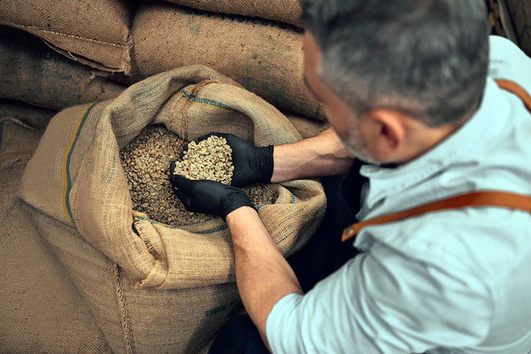 Illustration: A farmer holding coffee beans on his hand. (Photo: Harbucks/Freepik)