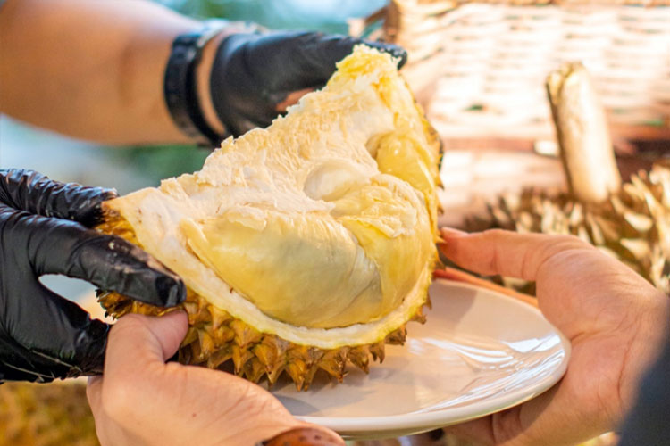 Makan Durian Sepuasnya di Summer Barbecue Party Vasa Hotel Surabaya