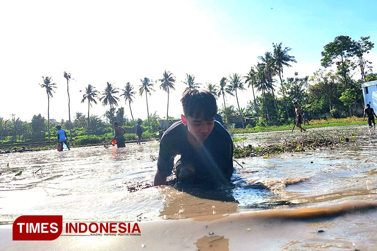 Puluhan Anak dan Orang Dewasa di Banyuwangi Rela Berkubang Lumpur Berebut Ikan