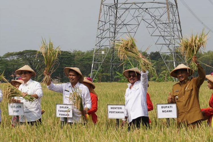 Kementan RI Lakukan Upaya Antisipasi dan Adaptasi El Nino di Jawa Timur