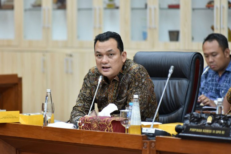 Wakil Ketua Komisi VI DPR RI Martin Manurung. (Foto: dPR RI)