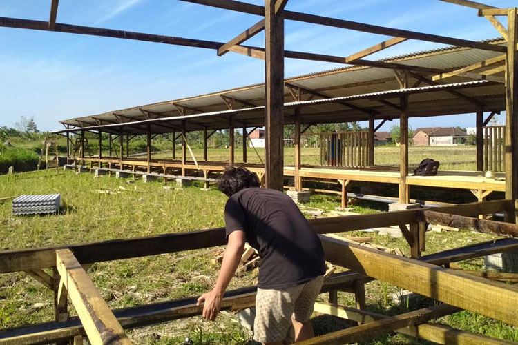 MMD UB Berkolaborasi Dengan Desa Panggungrejo Bangun Sektor Peternakan Domba