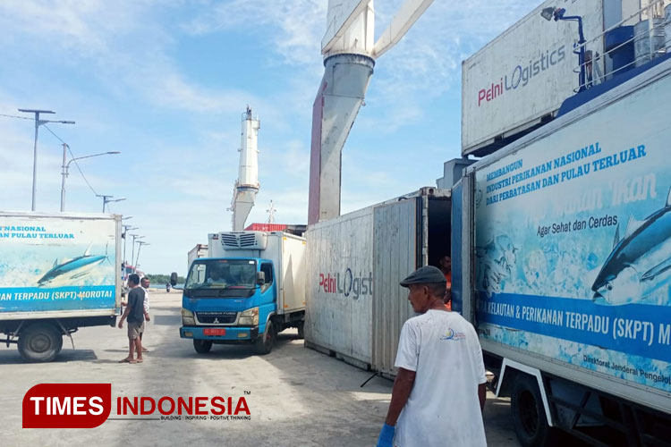 Pemuatan tuna loin ke Tol Laut Nusantara 5 di Morotai. (Foto: Yoppi For TIMES Indonesia)