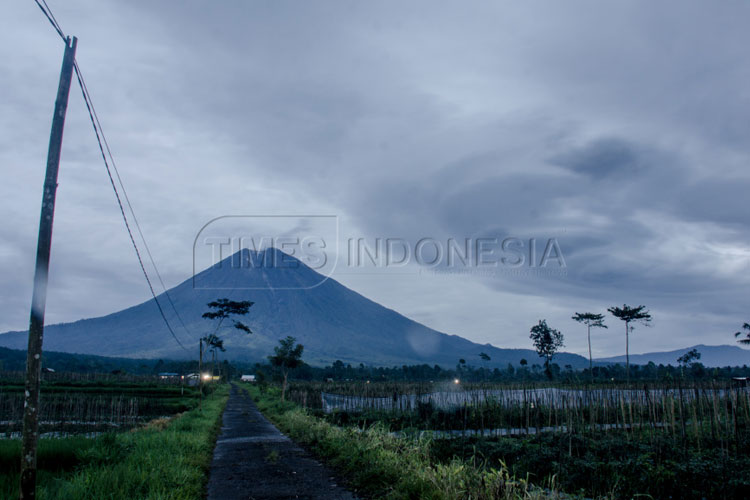 Gunung Semeru yang memiliki ketinggian 3.676 meter dari permukaan laut (mdpl) di Kabupaten Lumajang, Jawa Timur (Foto: Dokumen TIMES Indonesia)