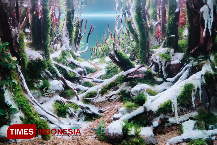 Seni-Aquascape-a.jpg