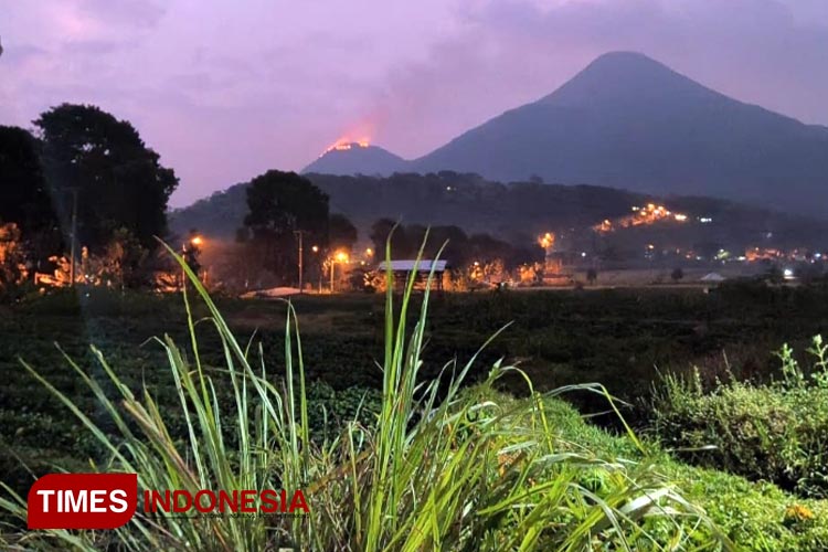 15 Hektar Lahan Hutan Anak Gunung Penanggungan Terbakar - TIMES Indonesia