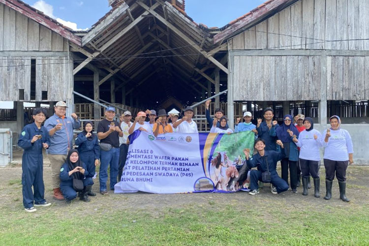 Dosen Fakultas Peternakan Unisma Malang Kembangkan Wafer Pakan Herbal Probiotik sebagai Pakan Kambing