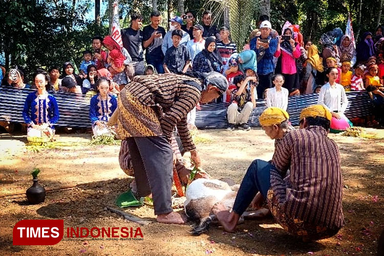 Penyembelihan Wedus Kendhit pada inti Upacara Adat Baritan Desa Gawang, Keboanagung, Pacitan dagingnya untuk sedekah tolak bala. (FOTO: Yusuf Arifai/TIMES Indonesia) 