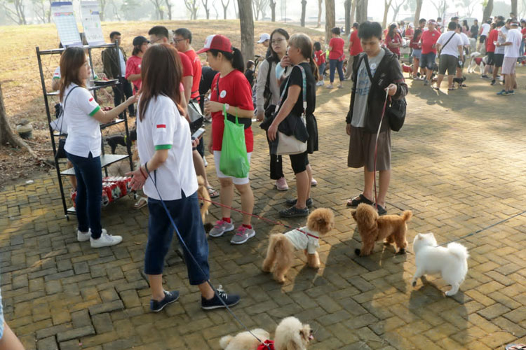 Para pecinta anabul berkumpul bersama membawa anjing kesayangan mereka dalam acara Fun Pawrade Dogs Walk 2023. (Foto: dok TIN)
