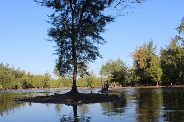 Danau Laipori di Desa Palakahembi, Kec. Pandawai, Kab. Sumba Timur. (Foto: KOMPAS.com/IGNASIUS SARA)