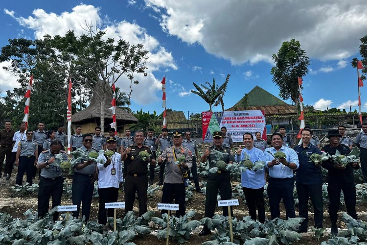 Lapas Waikabubak Tasyakuran dan Panen Raya Brokoli dari Hasil Warga Binaan