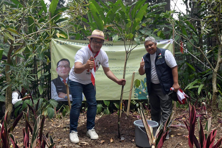 5 Tahun, 83 Juta Bibit Pohon Tertanam dan 81 Ribu Hektar Lahan Kritis Pulih di Jabar