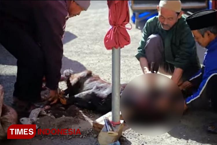 menggelar-pareresan-3.jpg