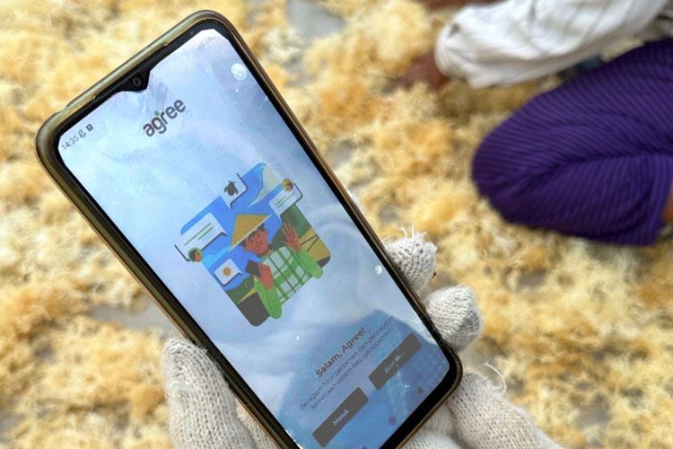Platform Agree Milik Telkom Dukung Optimalkan Hasil Panen Budi Daya Rumput Laut di NTT