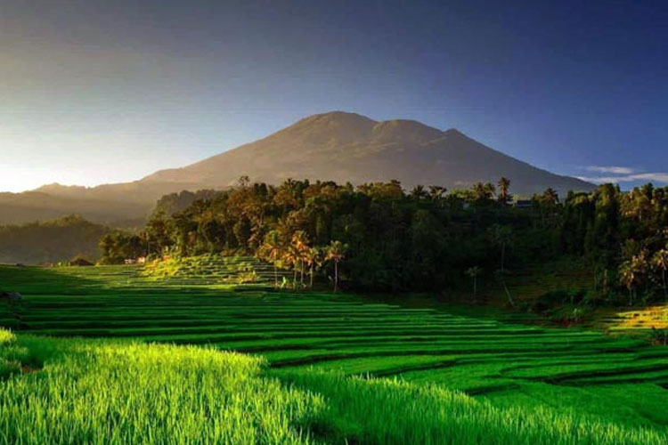 The cinematic landscape of Bantaragung Tourism Village. (Photo: Bantaragung Tourism Village)