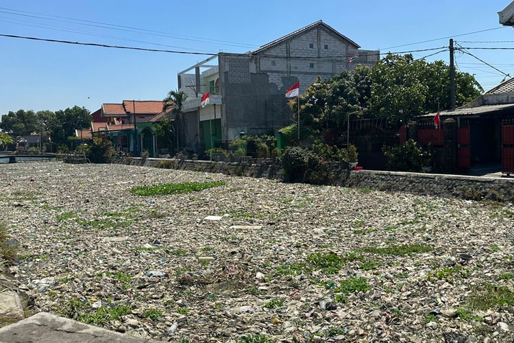 Bambang Haryo saat melihat kondisi sungai sekunder yang dipenuhi tanaman enceng gondoak dan sampah di Desa Krembangan, Kecamatan Taman, Sidoarjo (foto dok BHS Penduli)