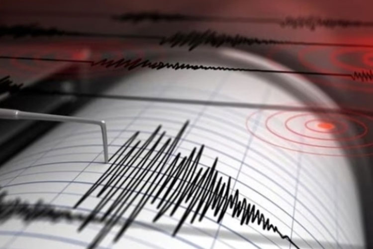 Ilustrasi - Gempa Bumi (Foto: net)
