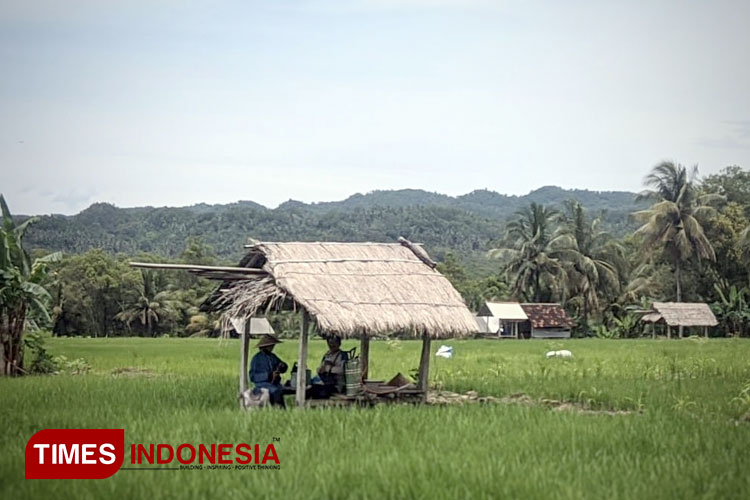 Sembilan Desa di Pacitan Ini Tak Ada Kadesnya - TIMES Indonesia