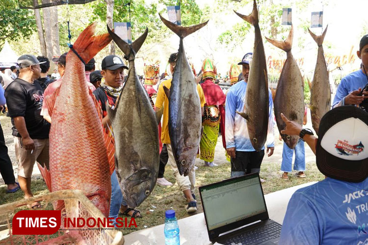 Proses penimbangan ikan tangkapan peserta Grajagan Fishing Festival 2023. (Foto: Laila Yasmin/TIMES Indonesia)