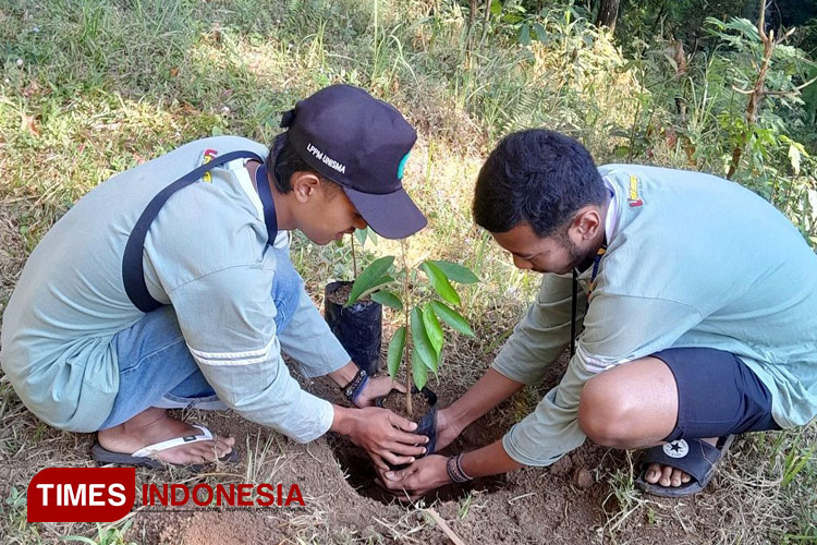 KSM Tematik Unisma Malang: Membangun Kehidupan Hijau dan Berkelanjutan Melalui Reboisasi