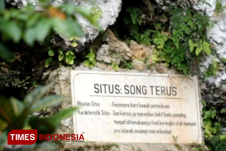 Kawasan Gunung Sewu Pacitan Kini Jadi Cagar Budaya Warisan Dunia