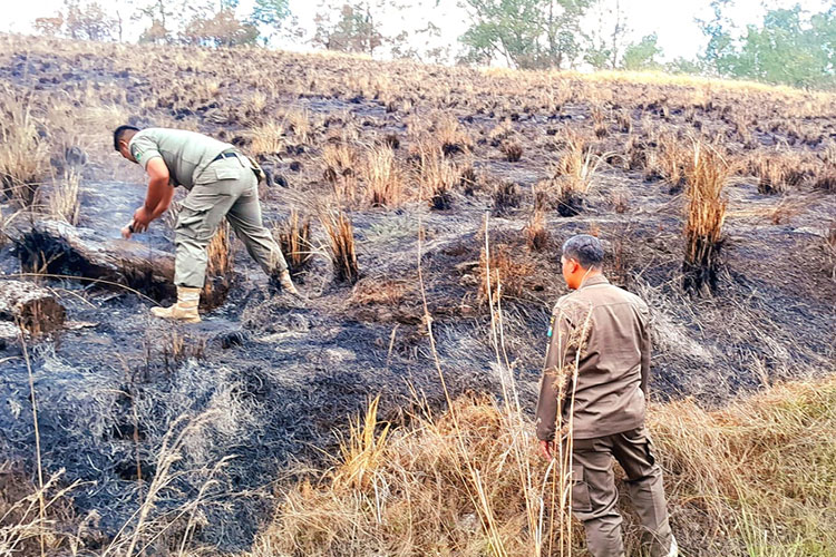 Dua Kali Terbakar, Situs Ijen Geopark Kawah Wurung Bondowoso Tetap Dibuka