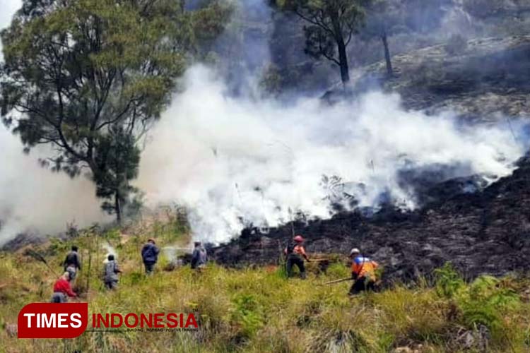 Petugas BPBD Kabupaten Probolinggo pada saat melakukan pemadaman. (Foto: BPBD for TIMES Indonesia)