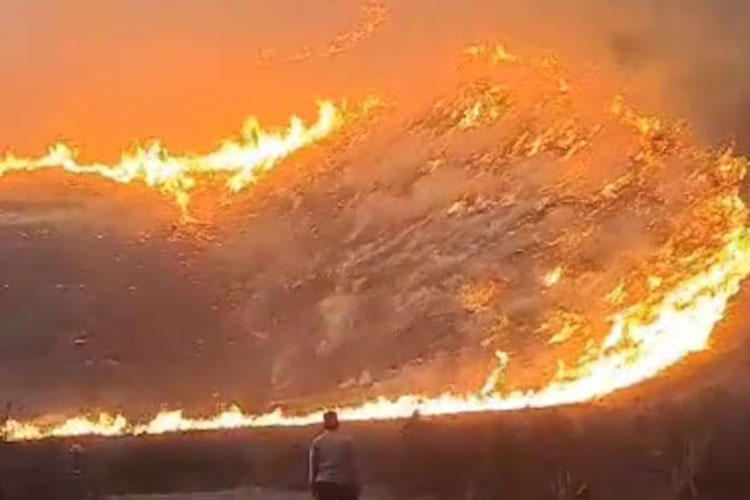 Kebakaran Savana Gunung Bromo yang disebabkan wedding flare. (Foto: tangkapan layar video medsos)