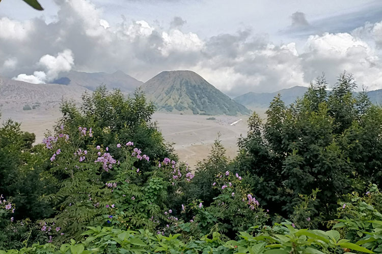 bromo.jpg