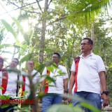 Program Makmur Sukses Tingkatkan Produktivitas Durian Banyuwangi