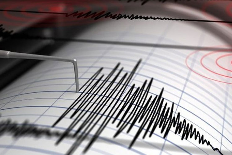 BMKG: Pagi Ini Gempa Bumi di Lombok Utara Terasa Hingga Denpasar-Kuta Bali