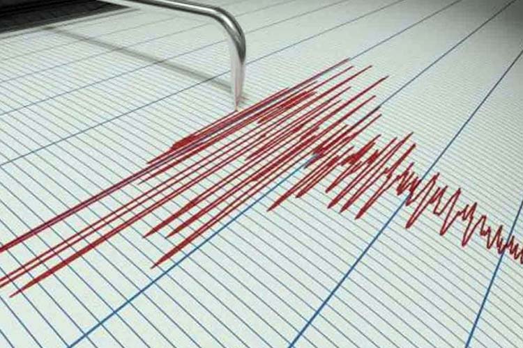 Ilustrasi: Seismograf adalah alat pencatat gempa bumi yang mampu mengukur getaran gempa bumi meski tidak bisa dirasakan manusia sekalipun. (FOTO: iStock)